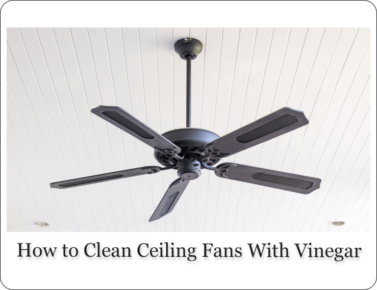 How to Clean Ceiling Fans With Vinegar 5+Easy Tips